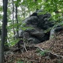 이정표농장 이미지