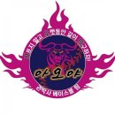 권박사야구교실