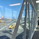 1174 | 제주-김포 대한항공 KE1174: A330-300 이코노미석 후기