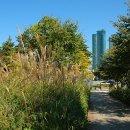 서울숲10 이미지