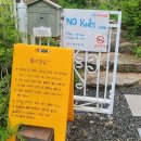 마산-진전-전-비-4 | 마산카페 앵지밭골 그집 수국꽃