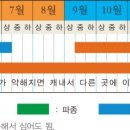 대농그린 이미지