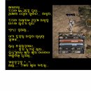 헤라마린