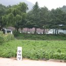 수항초 Daum카페