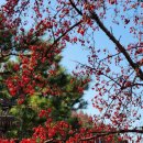 뿌리공원 둘레길 이미지