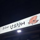 문규네갑오징어