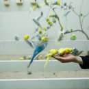 상상목장 이미지