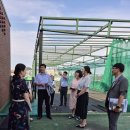 저동초등학교 이미지