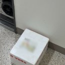 26년 제철 활새우 내돈내산 택배 구매 후기 통영먹푸드 새우회 까는법 손질법