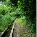 외씨버선길(조지훈문학길) 이미지