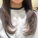 디오슈페리움2차 | 에이바헤어 서울대입구역점 염색 후기 (애쉬브라운 톤업)