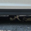 환희네 꿀벌농원 이미지