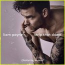 [R&amp;B] Strip That Down - (ft.Quavo) Liam Payne 이미지
