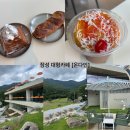 디자인전문회사 다인 | 장성 초대형카페 <온다인> 물멍뷰✨| 광주근교신상 베이커리카페 후기