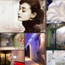 코아디자인 이미지