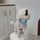 허그허그(HUGHUG) 이미지