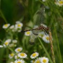 낙천농장 이미지