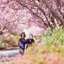 만수노인복지원 이미지