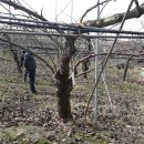 인천광역시 농업기술센터 이미지