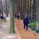 두레근린공원 이미지