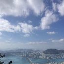 신선동-13 | (336)[부산/영도]봉래산 최단•초보코스(복천사-&gt;둘레길-&gt;정상-&gt;복천사).추천코스.역대급바다조망.360도...