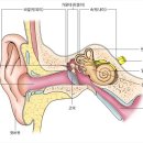 다산하나이비인후과의원 이미지