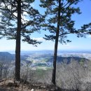 당산상사 이미지