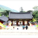 금정-14 이미지