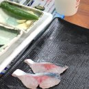 삼화회식당
