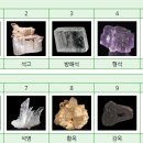 뿌리깊은나무학원