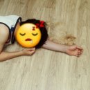 송담동물병원 이미지