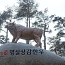 경상북도 상주시 명실상감한우 갈비탕 [2014.1.18 방문] 이미지