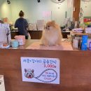 멍이와쿤이 이미지