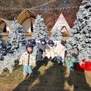 나무반🏕 이미지