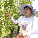 입암1리 이미지