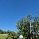온산밀면 | 부산 해운대 기장 근교 골프장 울산 울주 신설 오르비스gc 오르비스cc 18홀 대중골프장 라운드 라운딩 후기