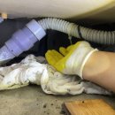 구서동 도시숲 이미지