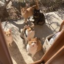 솔향민박 이미지