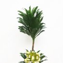 남현동-44 이미지