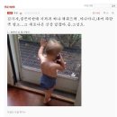 [네이트판] ★☆★☆★디스코팡팡타다 똥쌌어요★☆★☆★ 이미지