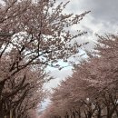 (주)오성레저상사 | (2025.4.21 ~ 4.27) 2025년 4월 넷째주 주간 별자리 운세