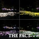 평택항만길 이미지