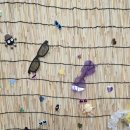 개미용중 이미지