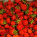 산수리농장 이미지