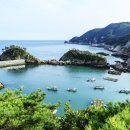 신안 행정사사무소 이미지