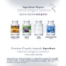 아이지바이오 - 포항시 남구 유강길9번길 62 | ★BUTY에서만 만날수 있는 앰플2종★ - 바이오펩타이드, 프로폴리스