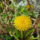 율하2지구_모산공원산책로 이미지