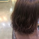 오즈헤어 이미지