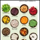 우리민들레약국 이미지