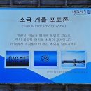 신안 증도 가볼 만한 곳 태평염전과 태평염생식물원